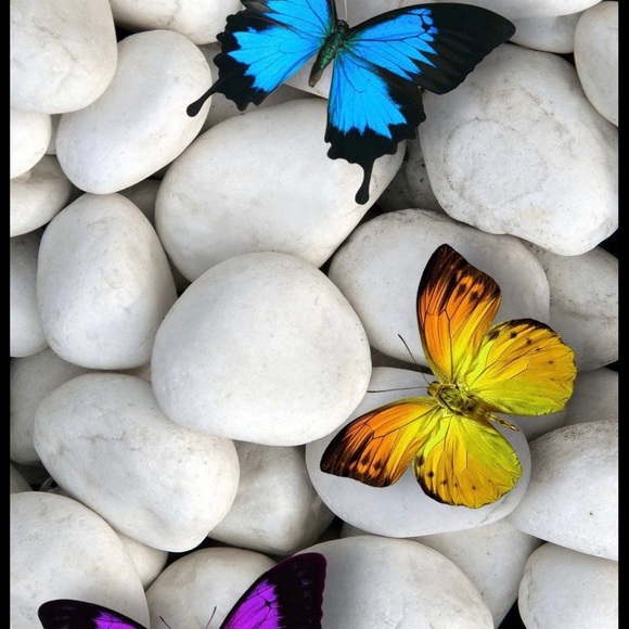 Meet Natalie - Picture 1 of 1